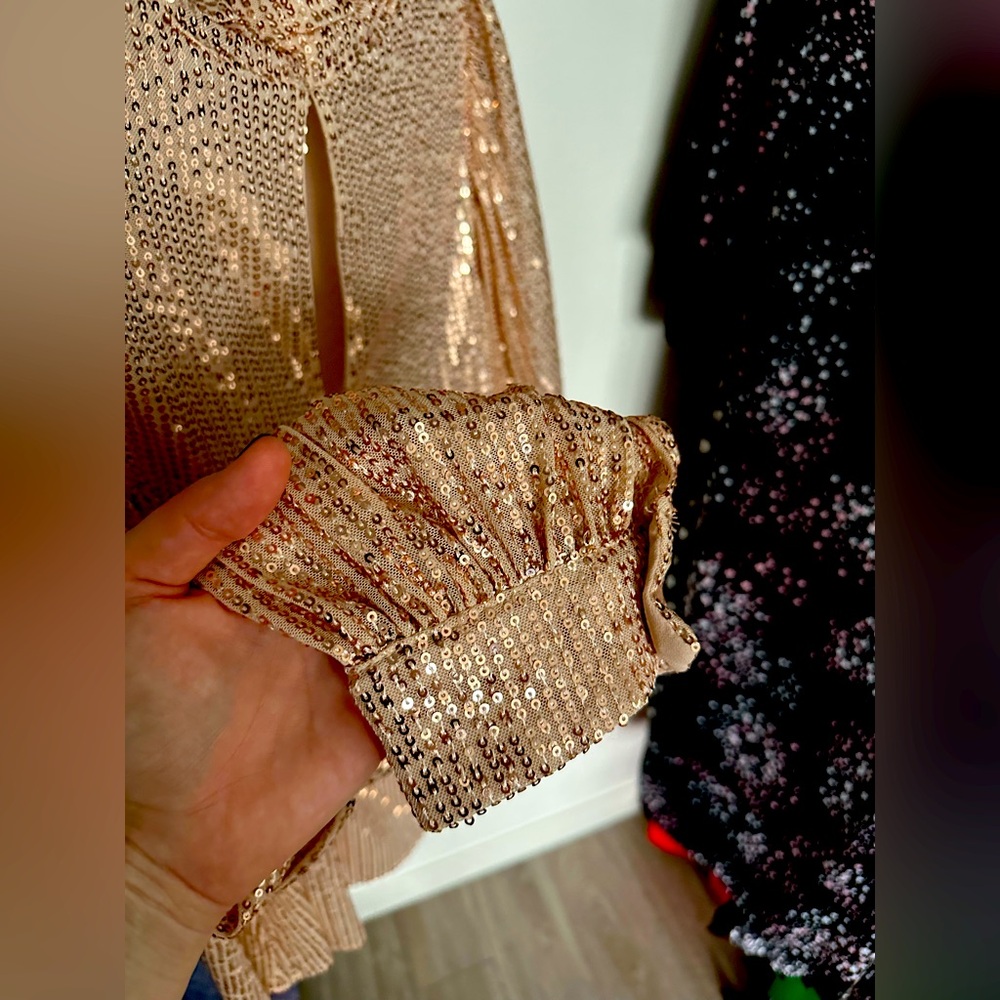 Gold Sequin Blouse x Vine & Love x Lg